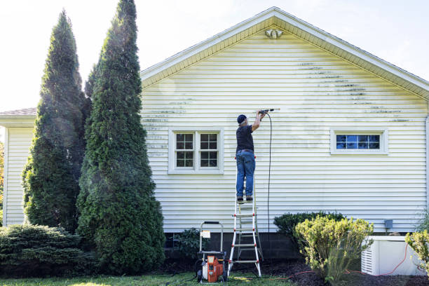 Best Deck Cleaning Services  in Tompkinsville, KY